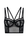 Dolce & Gabbana Plumetis Tulle Longline Bra