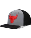 MITCHELL & NESS MEN'S SILVER AND GRAY CHICAGO BULLS DAY 5 SNAPBACK HAT