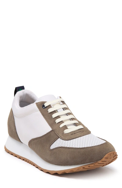 Paisley & Gray Newham Low Pro Sneaker In White/ Peltro
