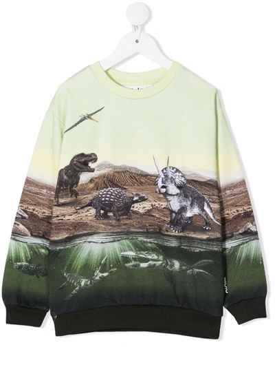 Molo Teen Dinosaur-motif Organic-cotton Sweatshirt In Green