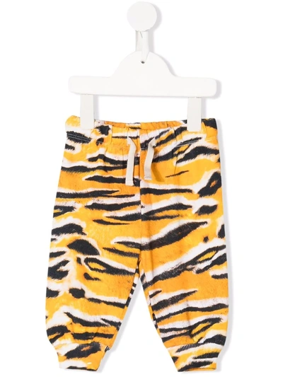 Molo Babies' Zebra-print Track Trousers In Yellow