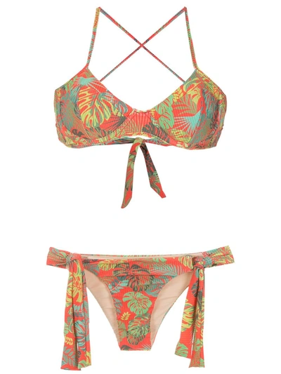 Amir Slama Palm Leaf Print Bikini In Red