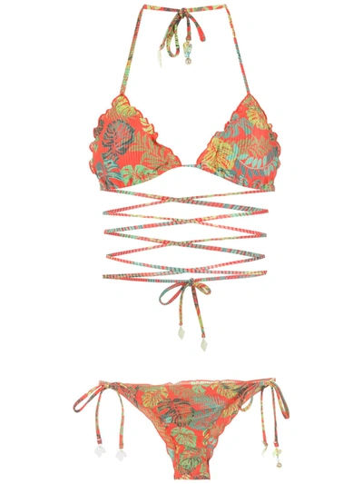 Amir Slama Palm Leaf Print Bikini In Red