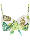 Amir Slama Palm Leaf Print Bikini Top In Green