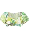 Amir Slama Palm Leaf Print Cropped Top In Green