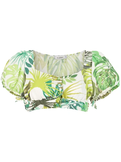 Amir Slama Palm Leaf Print Cropped Top In Green