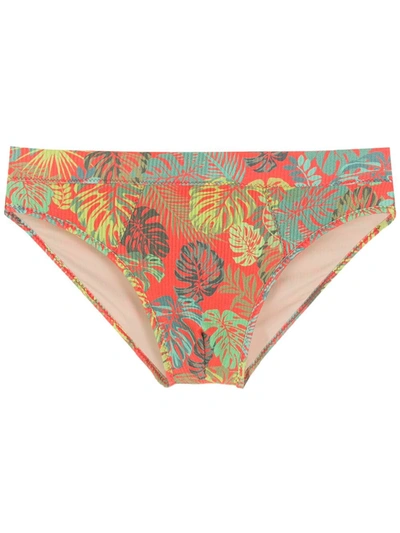 Amir Slama Leaf Print Swim Briefs In Red