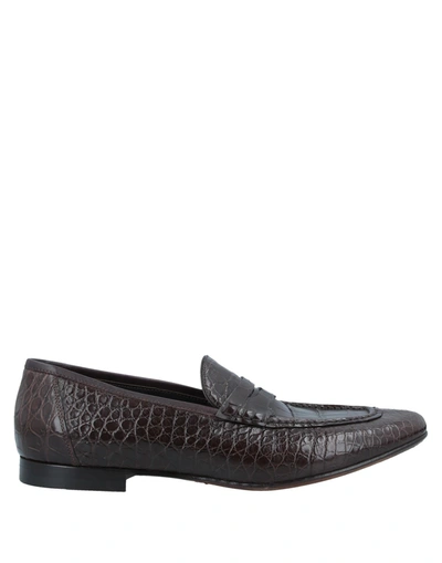 Alberto Guardiani Loafers In Dark Brown