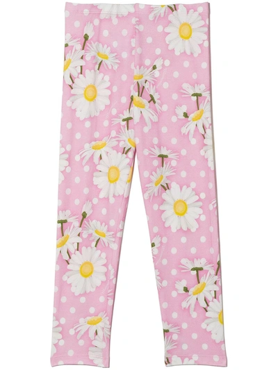 Monnalisa Kids' Daisy Cotton Leggings With Floral Print In Pink