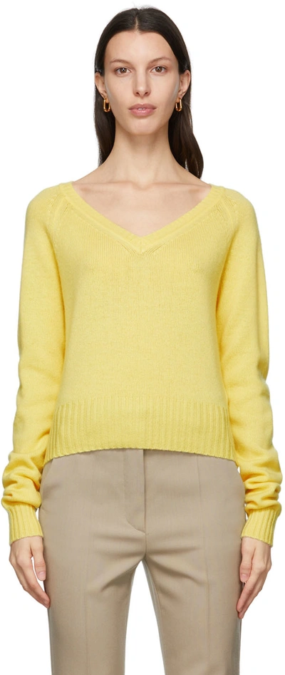 Sportmax Agitare Wool And Cashmere Sweater In Lemon