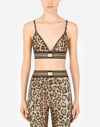 Dolce & Gabbana Leopard-print Cropped Tank Top In Multicolor