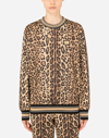 Dolce & Gabbana Leopard-print Jersey Sweatshirt In Multicolor