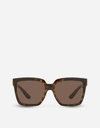 Dolce & Gabbana Modern Print Sunglasses In Havana