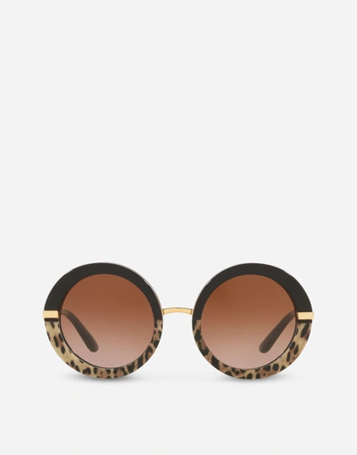 Dolce & Gabbana Half Print Sunglasses In Leo Print