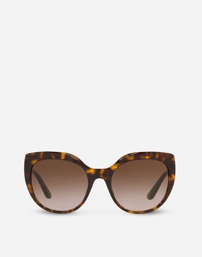 Dolce & Gabbana 56mm Cat Eye Gradient Sunglasses In Havana