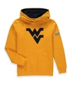 Stadium Athletic Big Boys Gold West Virginia Mountaineers Big Logo Pullover Hoodie In Gold
