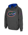 Stadium Athletic Youth Boys Charcoal Florida Gators Big Logo Pullover Hoodie In Charcoal