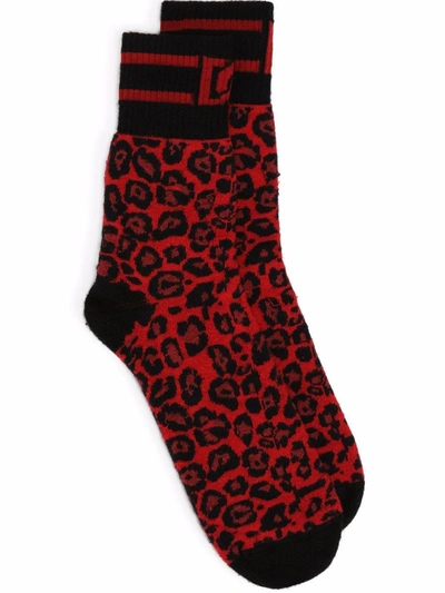 Dolce & Gabbana Stretch Cotton Leopard Jacquard Socks In Multicolor