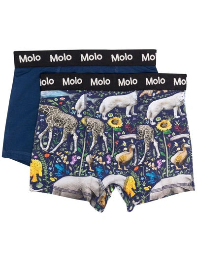 Molo Teen Animal-print Boxer Set In Blue