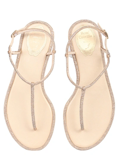 RENÉ CAOVILLA Sandals for Women | ModeSens