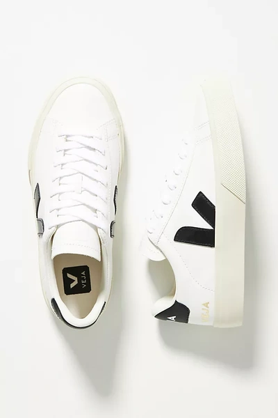 Veja Campo Leather Sneakers In Grey