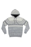 X-ray Stripe Pattern Hooded Sweatshirt In Grey