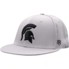 TOP OF THE WORLD TOP OF THE WORLD GRAY MICHIGAN STATE SPARTANS FITTED HAT