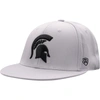Top Of The World Men's  Gray Michigan State Spartans Fitted Hat In Gray