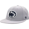 TOP OF THE WORLD TOP OF THE WORLD GRAY PENN STATE NITTANY LIONS FITTED HAT