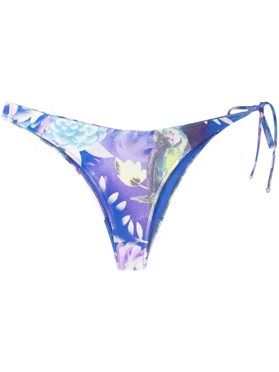 Moschino Tropical-print Bikini Bottoms In Blau