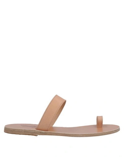 Ancient Greek Sandals Toe Strap Sandals In Blush
