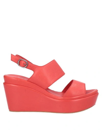 Cafènoir Sandals In Red