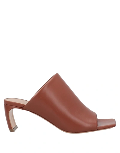 Lanvin Leather Mules In Brown