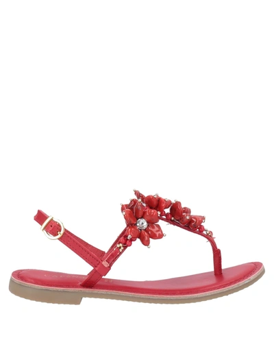 Cafènoir Toe Strap Sandals In Red