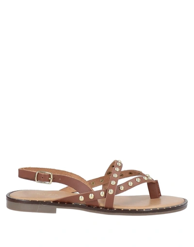 Cafènoir Toe Strap Sandals In Brown