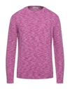 Kangra Cashmere Sweaters In Purple