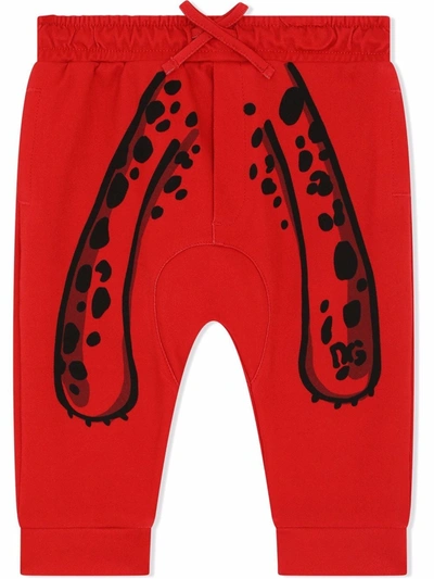 Dolce & Gabbana Babies' Boys Red Leopard Cotton Joggers