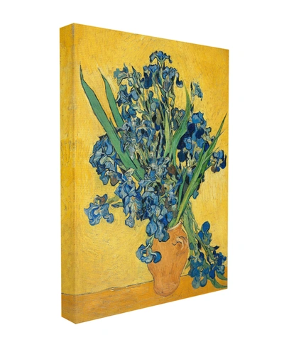 Stupell Industries Van Gogh Irises Post Impressionist Painting Stretched Canvas Wall Art, 16" X 20" In Multi-color