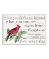 STUPELL INDUSTRIES BELIEVE LOVE NEVER DIES INSPIRATIONAL CARDINAL BIRD WORD DESIGN WALL PLAQUE ART, 10" X 15"