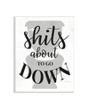 STUPELL INDUSTRIES ABOUT TO GO DOWN FUNNY BATHROOM FAMILY HOME WORD DESIGN WALL PLAQUE ART, 13" X 19"