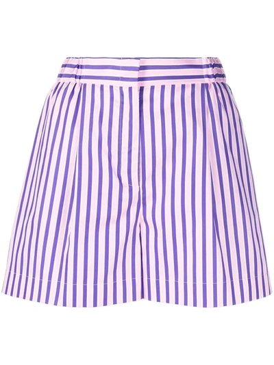 Etro High-waisted Pinstripe Shorts In Pink & Purple