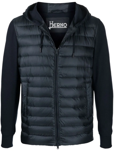 Herno Padded Panelled Jacket In Blue