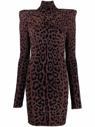 Roberto Cavalli Leopard-print High Neck Mini Dress In Brown