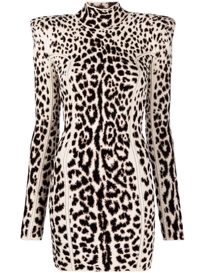 Roberto Cavalli Structured-shoulder Leopard Dress In Black