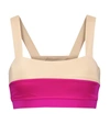 LANSTON SPORT ELYSIAN SPORTS BRA