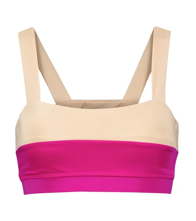 Lanston Sport Elysian Sports Bra In Magenta