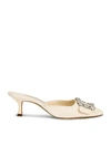 MANOLO BLAHNIK MAYSALE 50 MULE