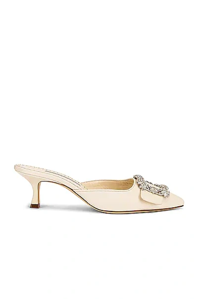 Manolo Blahnik Maysale 50 Mule In Light Cream