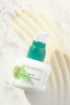 HOLIFROG HOLIFROG AHA + BHA EVENING SERUM