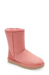 Ugg Classic Ii Genuine Shearling Lined Short Boot In Pink Blossom